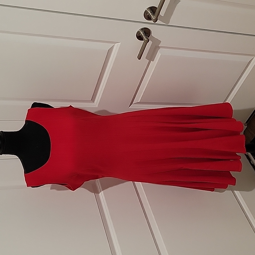 Size 10 Calvin Klein Red Pleated Dress